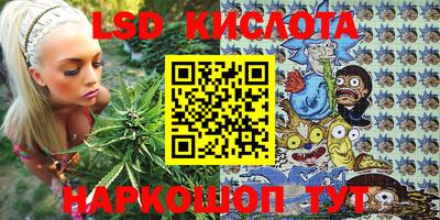 прущие грибы Балашиха