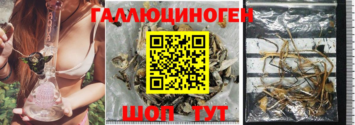 Галлюциногенные грибы ЛСД Димитровград